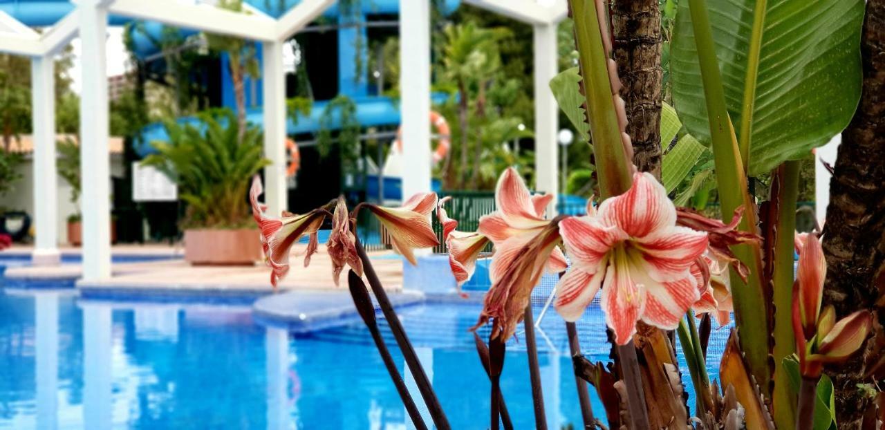 El Estudio De La Playa Benalbeach Holidays Deluxe 베날마데나코스타 외부 사진